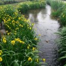 기차마을 장미공원 이미지