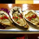 참치마루 Daum카페