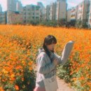 싱글몽글 이미지