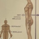 노바디핏