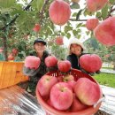 삼애농원 이미지