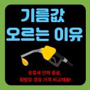 2022-주183 | 유류세 인하 종료, 기름값 오르는 이유, 휘발유 경유 가격 비교해봄
