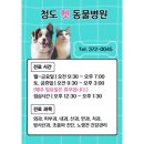 청도펫동물병원 티스토리