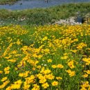 청도천6 이미지