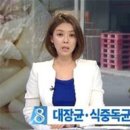 송학식품