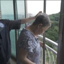 고집코리아직업전문학원 티스토리