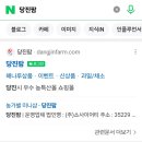 영일팜