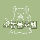 [소동물 카페·분양·호텔·목욕] 인천 작은숲 소동물 호텔입니다.(호텔후기)