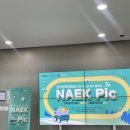 어린이 코딩교실 1기 | [초등 코딩 체험] 한국공학한림원 2026 주니어 공학 올림픽(NAEK-Pic) 후기