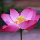 주인수