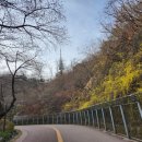 강남박내과의원 이미지