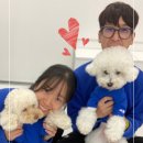 프릿토핏 이미지