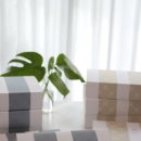 정착농장 이미지