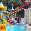 어린왕자의나무별 이미지