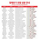 롤링파스타양산