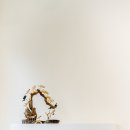 비바동물병원 이미지