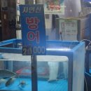 활어촌 이미지