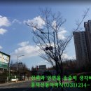 석현초등학교후문 이미지