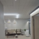 모라인 | 대구 부분가발 만족스럽게 잘 하는 곳