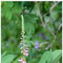 술마시기좋은날 이미지