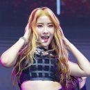 퍼플홀 이미지