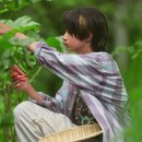 키친 마카로니 이미지