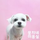 뭉치네 미용실 이미지