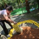 하나아트어린이집 이미지