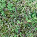 사려니숲길주차장 이미지