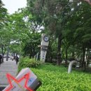 대일한의원 이미지