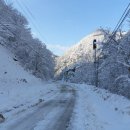 고향산천 Daum카페