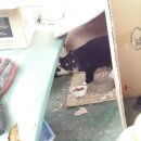 엠오바이오 이미지