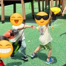 신체의 열매 이미지