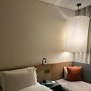 반송동161 | 신라스테이 동탄 호캉스 조식 뷔페 시그니처 베어 구매 후기