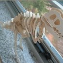 신나는 과학교실2 이미지