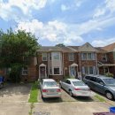 Cuddly Puppy 이미지