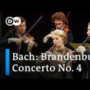 바흐 '브란덴부르그협주곡 4번' 이 작품의 편성은 1대의 바이올린과 2개의 플루트에 현악 합주로 되어 있으며 경쾌하고 아름다운 곡이다. 이미지