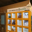 이마트24 메리어트점 | 자판기에서 중고물품 뽑기, ‘파라박스’를 아시나요?