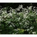 두산2리경로당 이미지