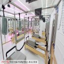 키즈 필라테스 | 한국필라테스 납품후기 ㅣ 안산 마음가짐필라테스 &amp; 남원 바론필라테스 &amp; 함안 숨쉴요가 &amp; 용인 활짝...