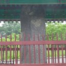 부여백제(공주) 이미지