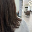 헤어르뽀렘 무거점