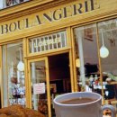 수동물병원 이미지