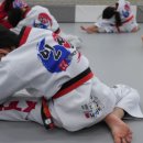 열정태권도 이미지