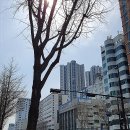 태성당 이미지