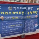 시민푸드 | 대전 엑스포시민광장 야외스케이트장 예약 방법·사이즈·물품 보관함·푸드트럭 총정리