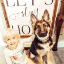 오늘도 댕댕 이미지