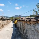 미나리방죽길(부강식당앞주차장) | 강진 1박2일 여행코스 감성돋는 5대 테마거리