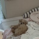 영주 일우정 | 너무 매정하게 생각하지 말아요.