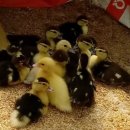 동녁농장 이미지